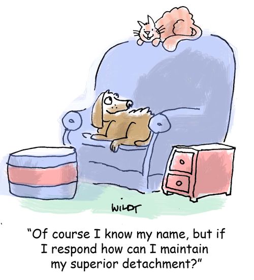 'Of course I know my name, but if I respond how can I maintain my air of superior detachment?'