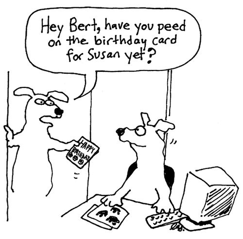 'Hey Bert, have you peed on the birthday card for Susan yet?'
