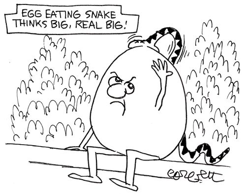 Egg eating snake thinks big, real big!