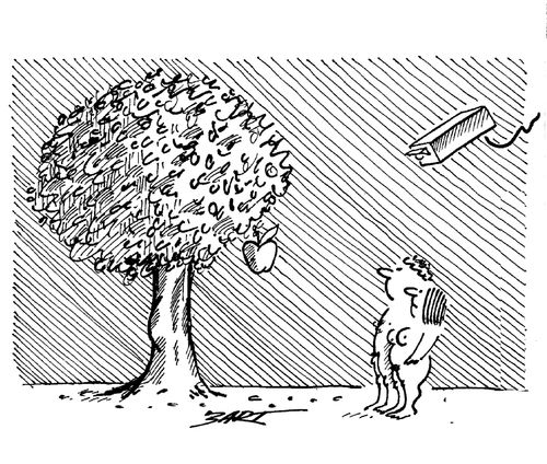 Paradise Surveillance.