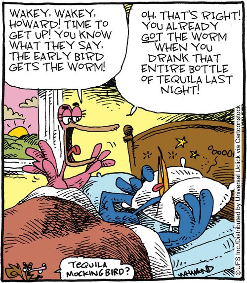 'Wakey wakey Howard! Time to get up! You know what they say, the early bird gets the worm!'