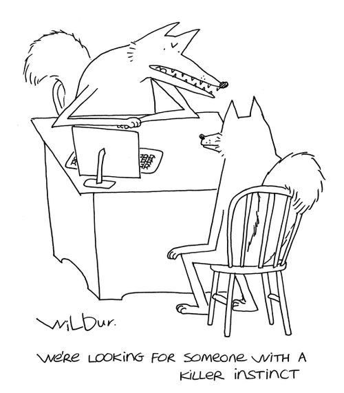 'We're looking for someone with a killer instinct.'
