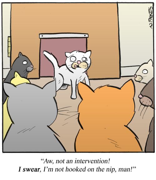 'Aw, not an intervention! I swear, I'm not hooked on the nip, man!'