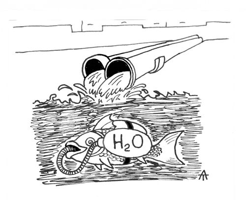 Fish with a water supply.