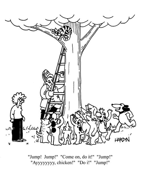 Cat up a tree with a pack of dogs heckling him to 'Jump!'.