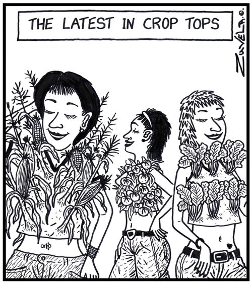 The latest in crop tops