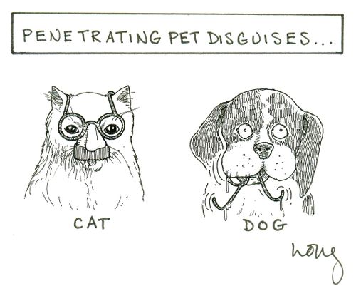 Penetrating Pet Disguises...