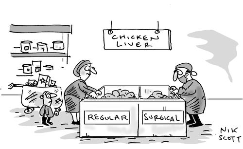 Surgical chicken liver. (For transplants)