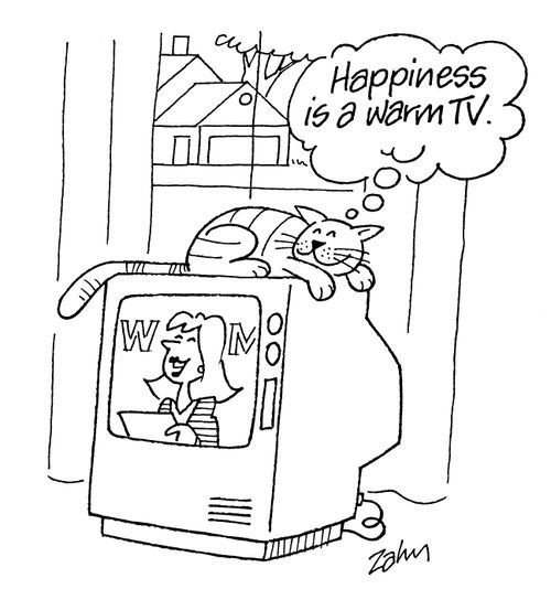 Happiness is a warm TV.