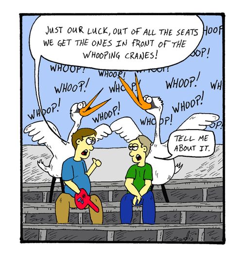 "Just our luck, out of all the seats we get the ones in front of the whooping cranes!"