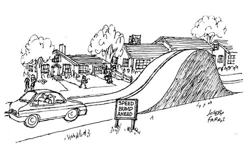 Unnecessary Sign Reading 'Speed Bump Ahead'.