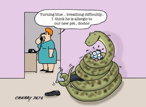 "Turning blue...breathing difficulty...I think he is allergic to our new pet, doctor."