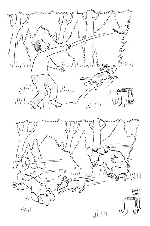 Man throwing stick for dog and disturbing bear