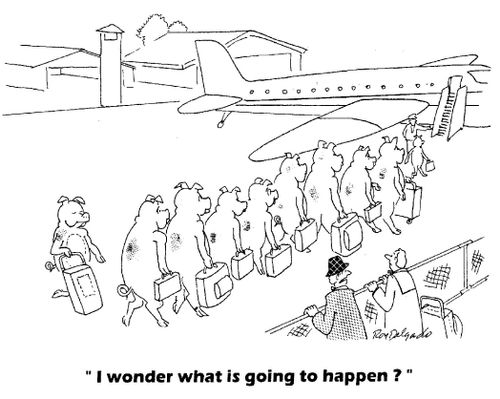 'I wonder what is going to happen?'