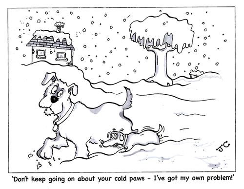 'Don't keep going on about your cold paws - I've got my own problem!'