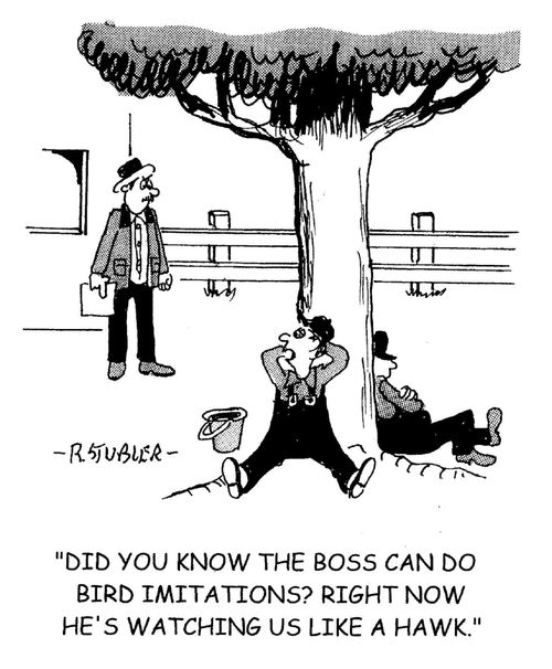 'Did you know the boss can do bird imitations? Right now he's watching us like a hawk.'
