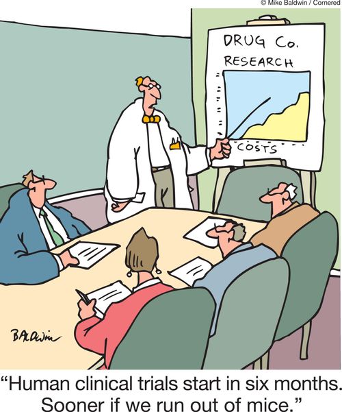 'Human clinical trials start in six months. Sooner if we run out of mice.'