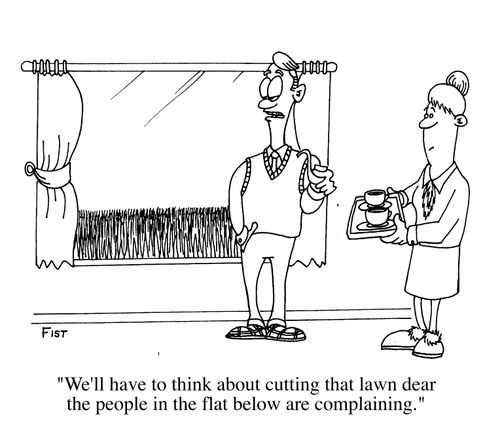 Cut the lawn