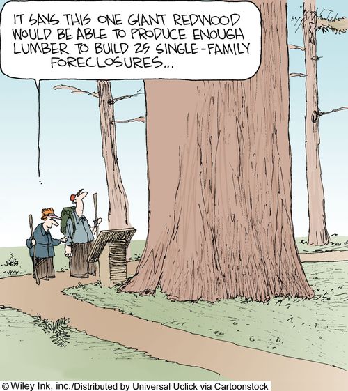 'It says this one giant redwood would be able to produce enough lumber to build 25 single-family foreclosures...'