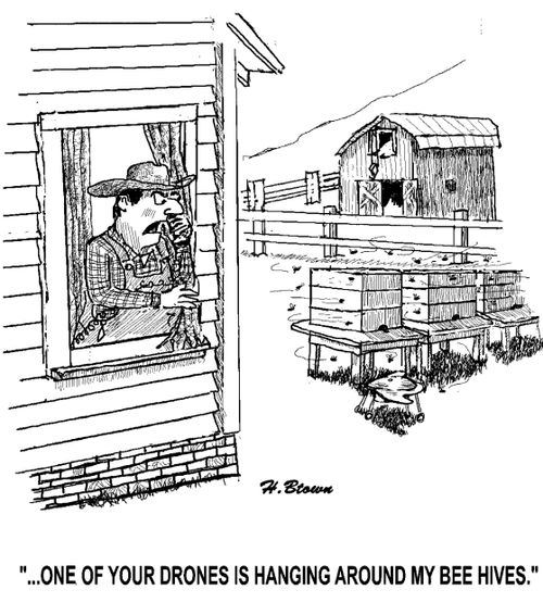 '...One of your drones is hanging around my bee hives.'