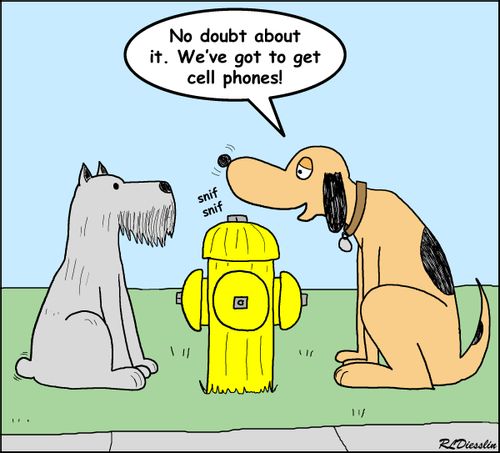 'No doubt about it. We've got to get cell phones!'