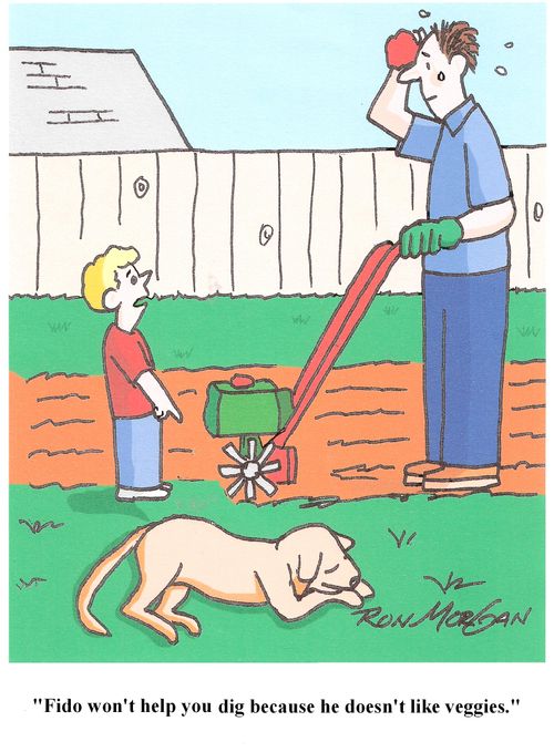 'Fido won't help you dig because he doesn't like veggies.'