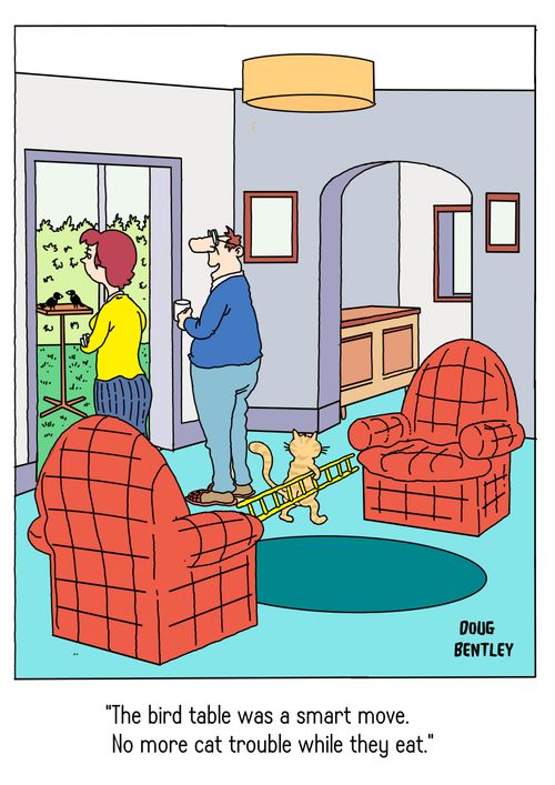 "The bird table was a smart move. No more cat trouble while they eat."