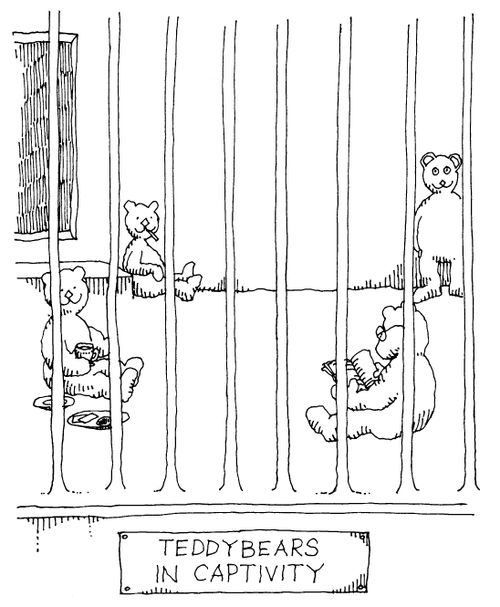 Teddy Bears in captivity