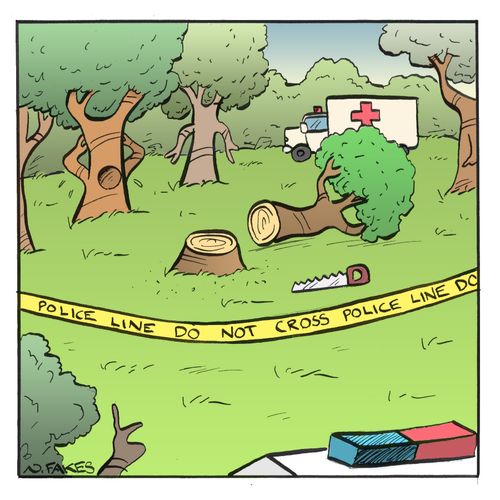 Tree Crime Scene
