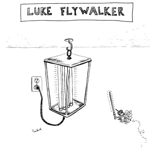 Luke Flywalker.