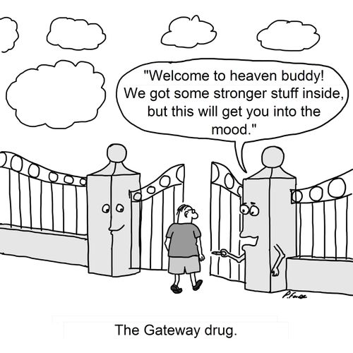 'Welcome to heaven buddy! We got some stronger stuff inside, but this will get you into the mood.'
