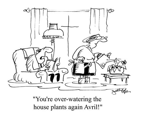 'You're over-watering the house plants again Avril!'