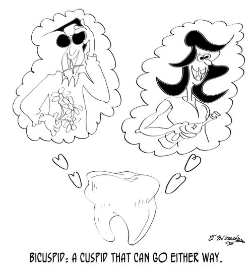 Bicuspid: A cuspid that can go either way.