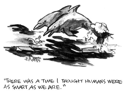 'There was a time I thought humans were as smart as we are.'