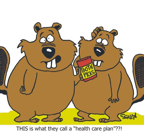 'THIS is what they call a 'health care plan'??!'