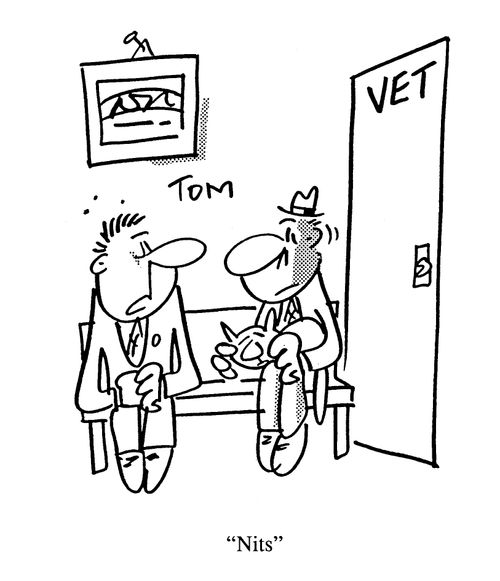 Vet.