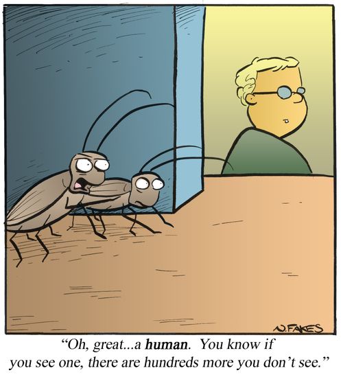 'Oh, great...a human. You know if you see one, there are hundreds more you don't see.'