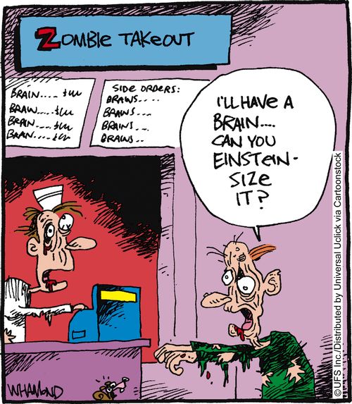 'I'll have a brain - can you Einstein it?'