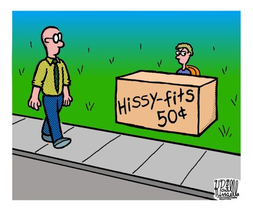 Hissy-fits for sale.