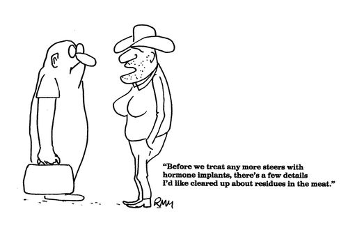 'Before we treat any more steers with hormone implants...'
