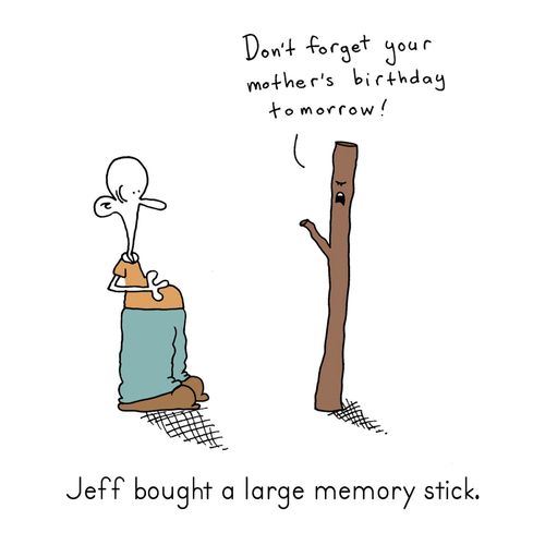 Jeff bought a large Memory Stick