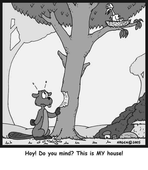 'Hoy! Do you mind? This is MY house!'