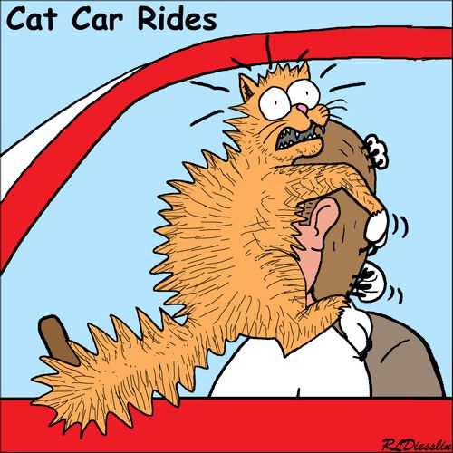 Car Rides - Cats