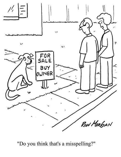 For Sale Buy Owner.