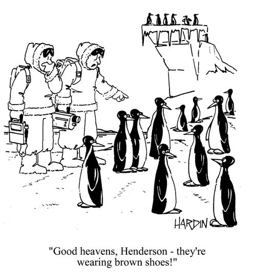 'Good heavens, Henderson - they're wearing brown shoes!'