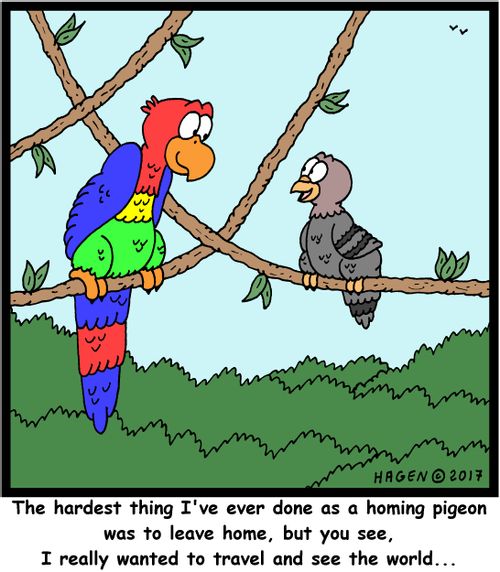 "The hardest thing I've ever done as a homing pigeon was to leave home, but you see, I really wanted to travel and see the world..."