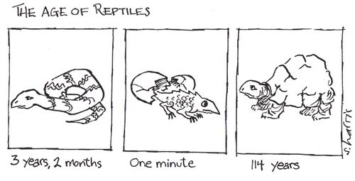 The Age of Reptiles. . .