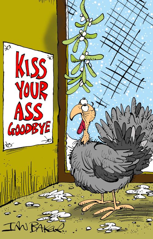 Turkey under mistletoe with sign that says: 'Kiss your ass goodbye'.