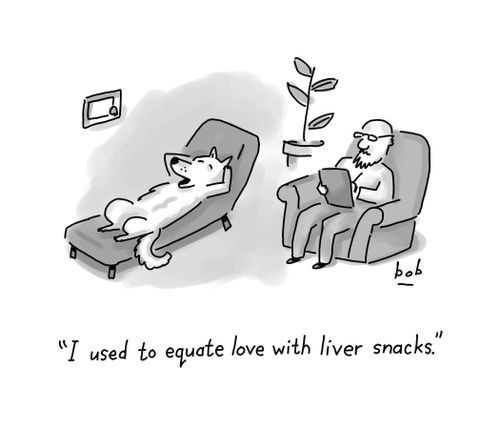 Dog on couch at psychiatrist office talking about love and liver snacks