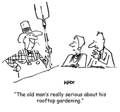 'The old man's really serious about his rooftop gardening.'